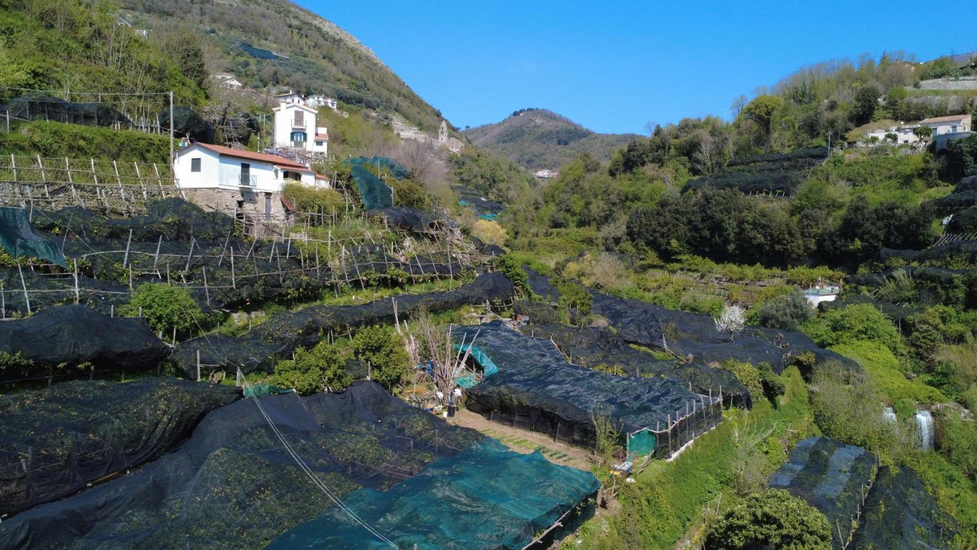 Antica Cartiera Sant'Elia Apartamento Tramonti Exterior foto