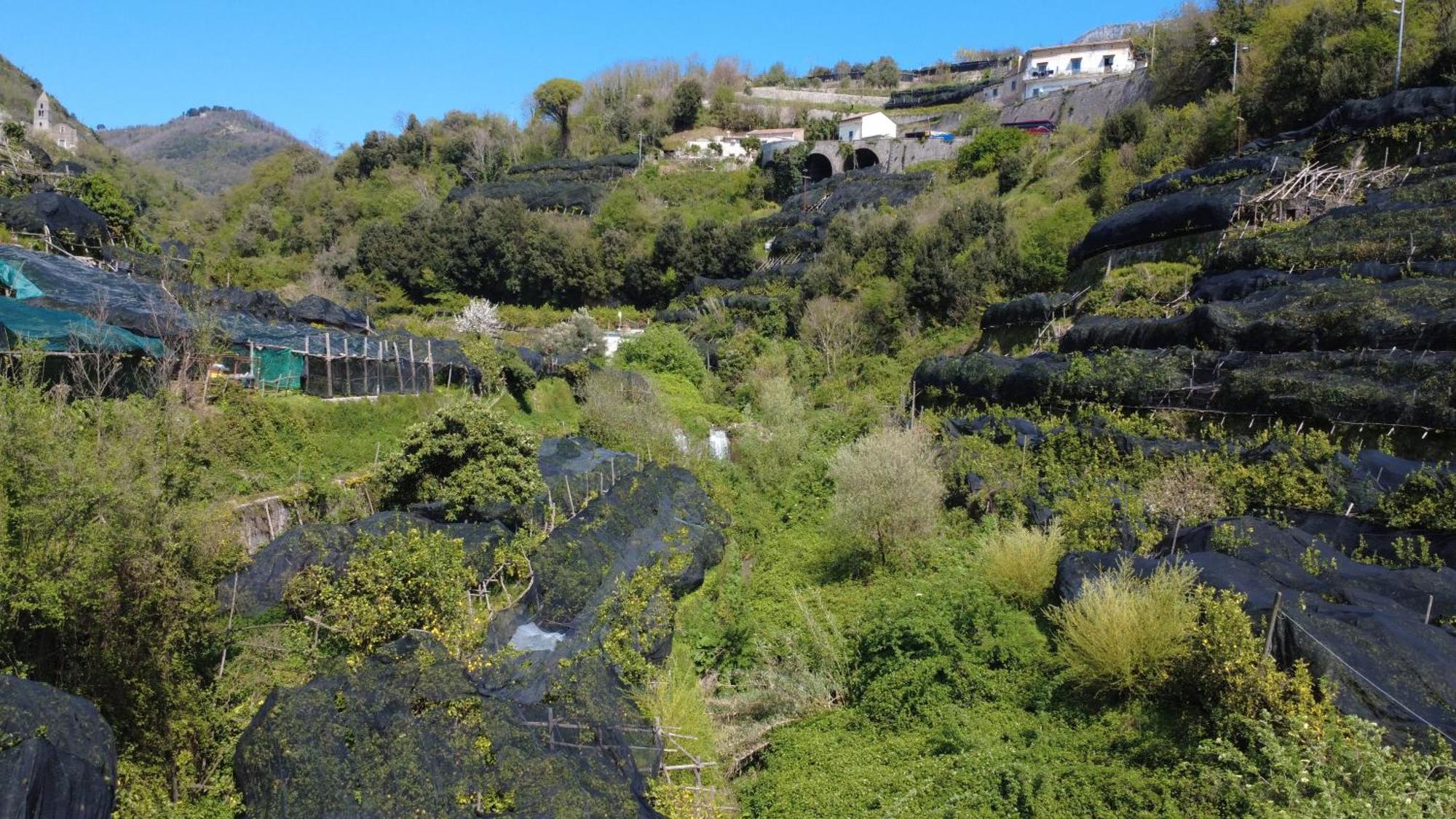 Antica Cartiera Sant'Elia Apartamento Tramonti Exterior foto